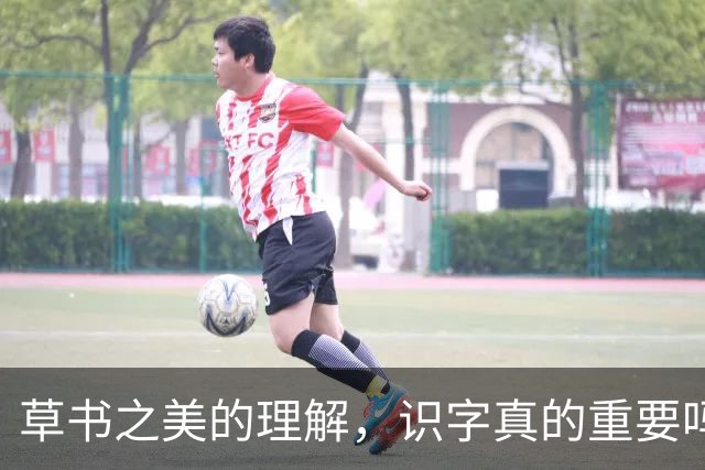 草书之美的理解，识字真的重要吗？